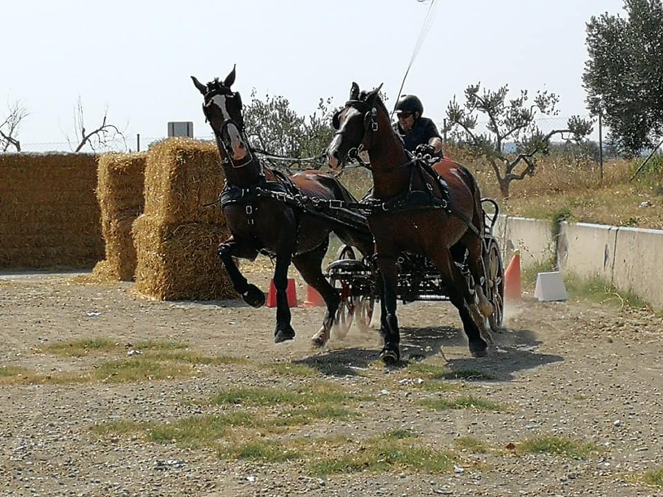 3ª Fase y Final del Campeonato Navarra de Enganches Indoor en La Pinturita de Olite